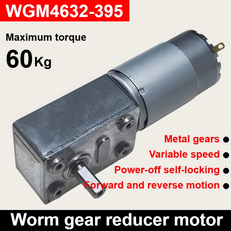 4632-965 Worm Gear DC Speed Reducer Motor with Power Off Locking Function High Torque 12/24V Adjustable Speed CW/CCW Metal Motor