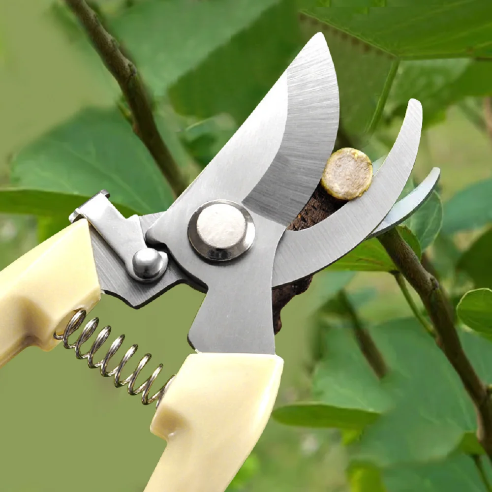 

Multifunctional Stainless Steel Fruit Picking Shears Tree Pruning Shears Professional Bonsai Flower Grafting Gardening Scissors
