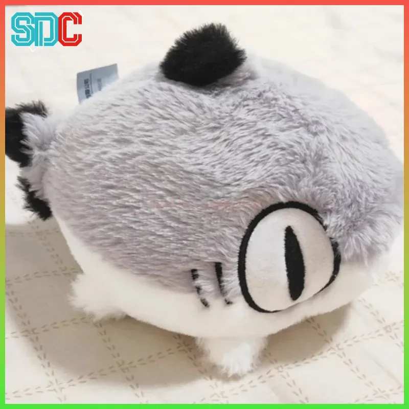 

20cm Plush Sharkitty Cat Cub Doll Kawaii Anime Stuffed Animal Model Toy Desktop Decor Gift Genuine Soft Toy for All Ages