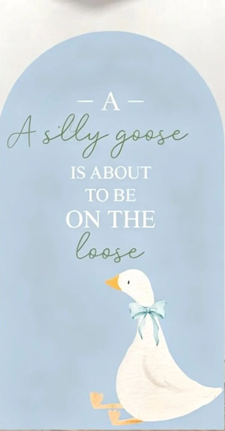 Custom 2-Side Silly goose Almost on the loose Baby Shower Arch Backdrop Cover Fall Duck Green Bow Birthday Party Decor Backdrop