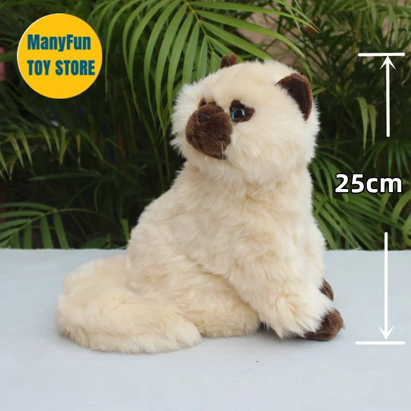 Himalayan Persian Cat Plushie Chinchilla Cat Plush Toy Lifelike Siamese Cat Stuffed Animal Simulation Doll Gift Collectors