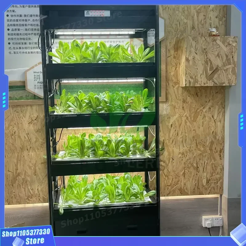 Automatic Vertical Hydroponics System Cabinet for Home Garden Commercial Grown Vegetables Aquaponics Irrigation Farm Supplies