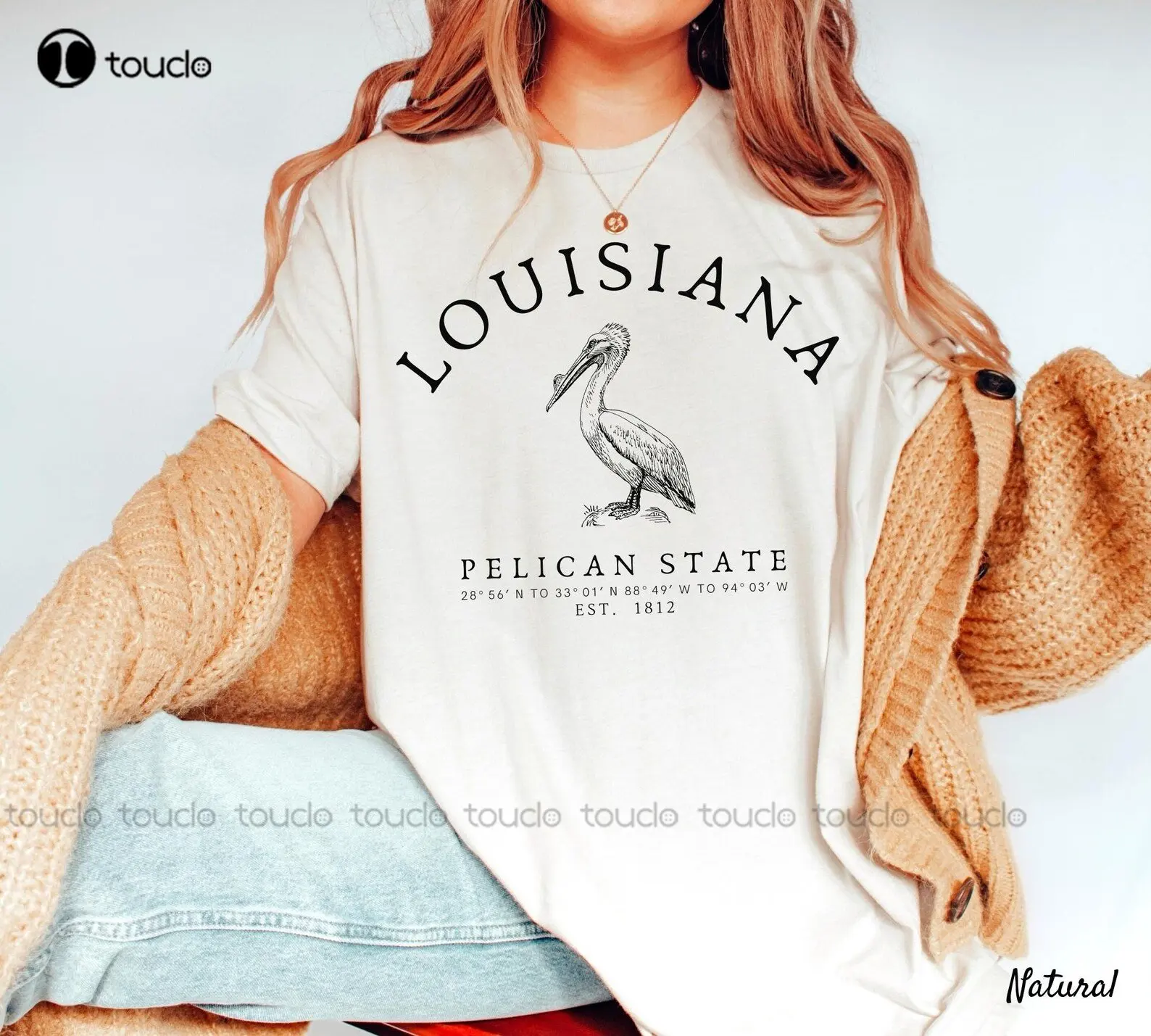 Louisiana Shirt Pelican State Tee Soft And Comfortable T-Shirt Unisex Oversized T Shirts For Men Custom Gift Xs-5Xl Printed Tee