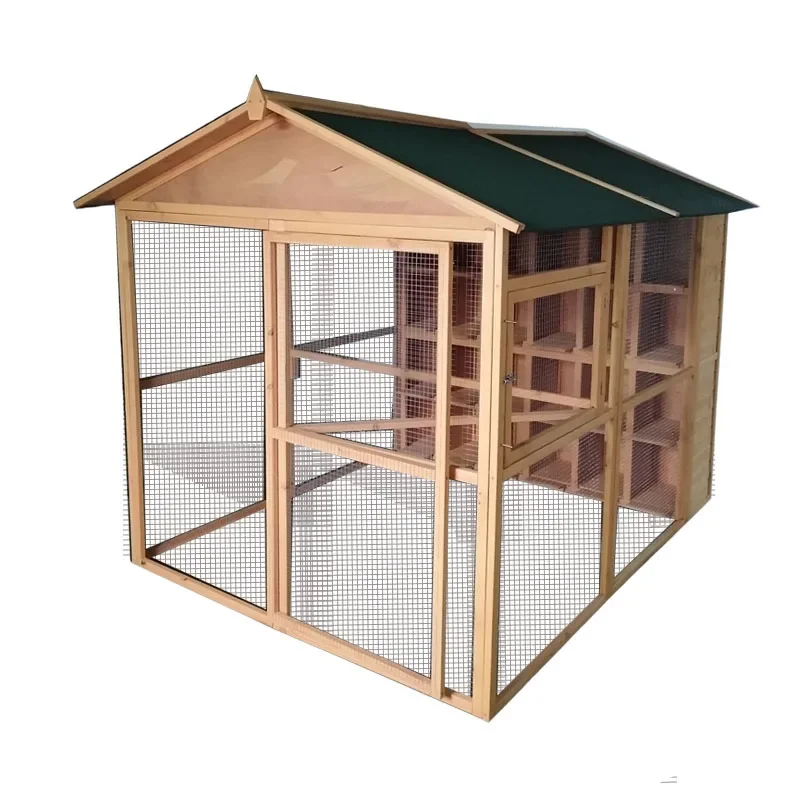 

Outdoor pigeon breeding special cage house race cage meat pigeon shed breeding