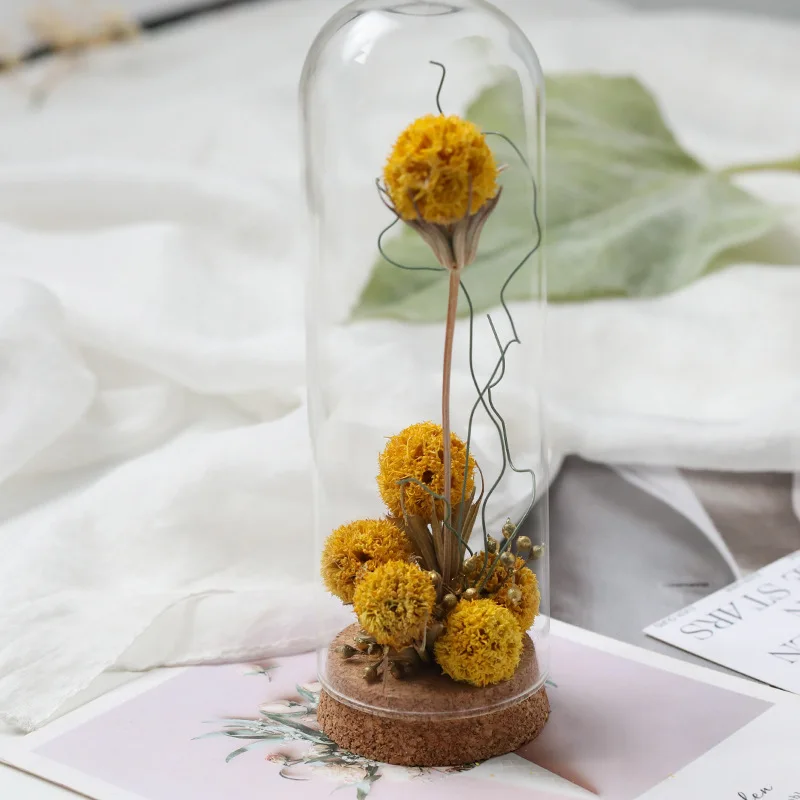 Height=30cm Different Diameter Higher Form Handmade Glass Dome Vase Home Decor Cork Base Transparent Cover DIY Gift Wedding Prop