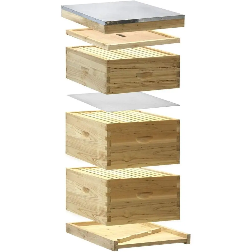 Beekeeping Starter Kit: 2 Hive Bodies, 1 Super, Wax Foundations & More