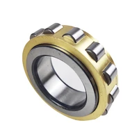 Rodamientos de rodillos cilíndricos, 1 piezas, RN204M, RN205M, RN206M, RN207M, RN208M, RN209M, RN210M, sin anillo exterior