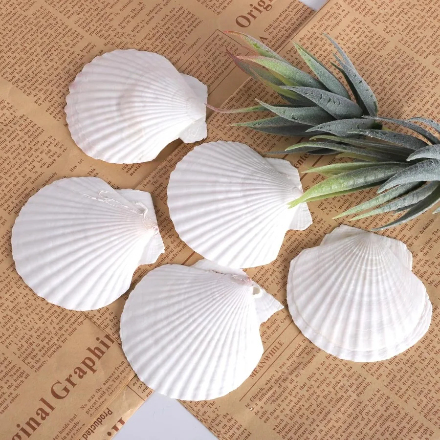 10 PCS 4-5 Inch Natural White Large Scallop Shells Sea Shells for DIY Craft Home Décor