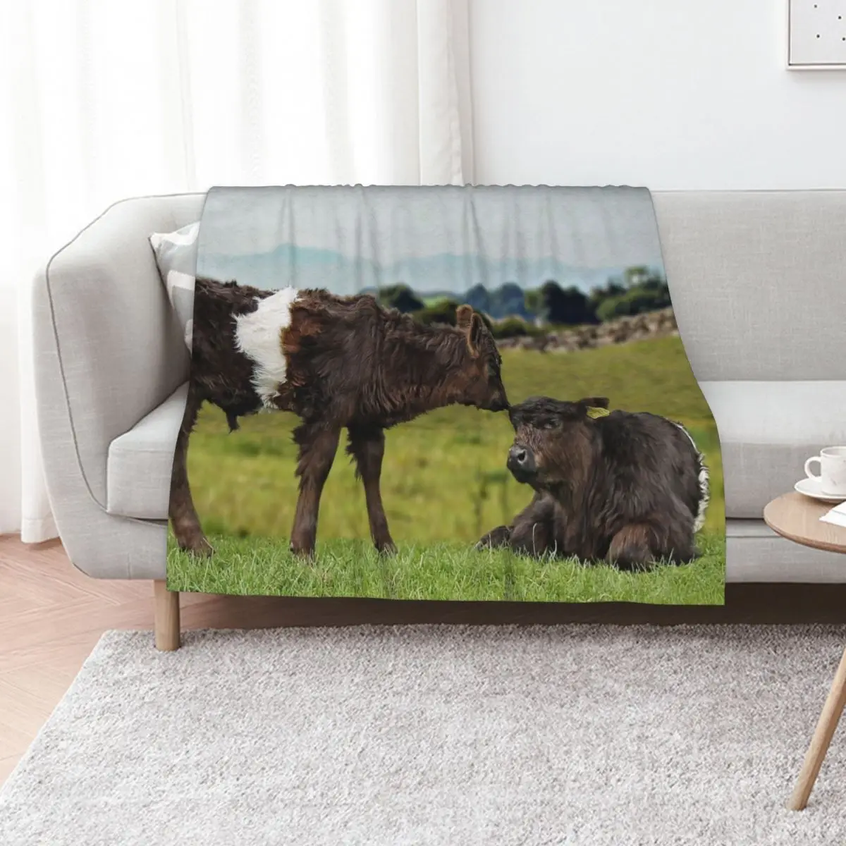 Belted Galloway Throw Blanket Extra Large Throw Soft Big Weighted Luxury for winter blankets ands Blankets