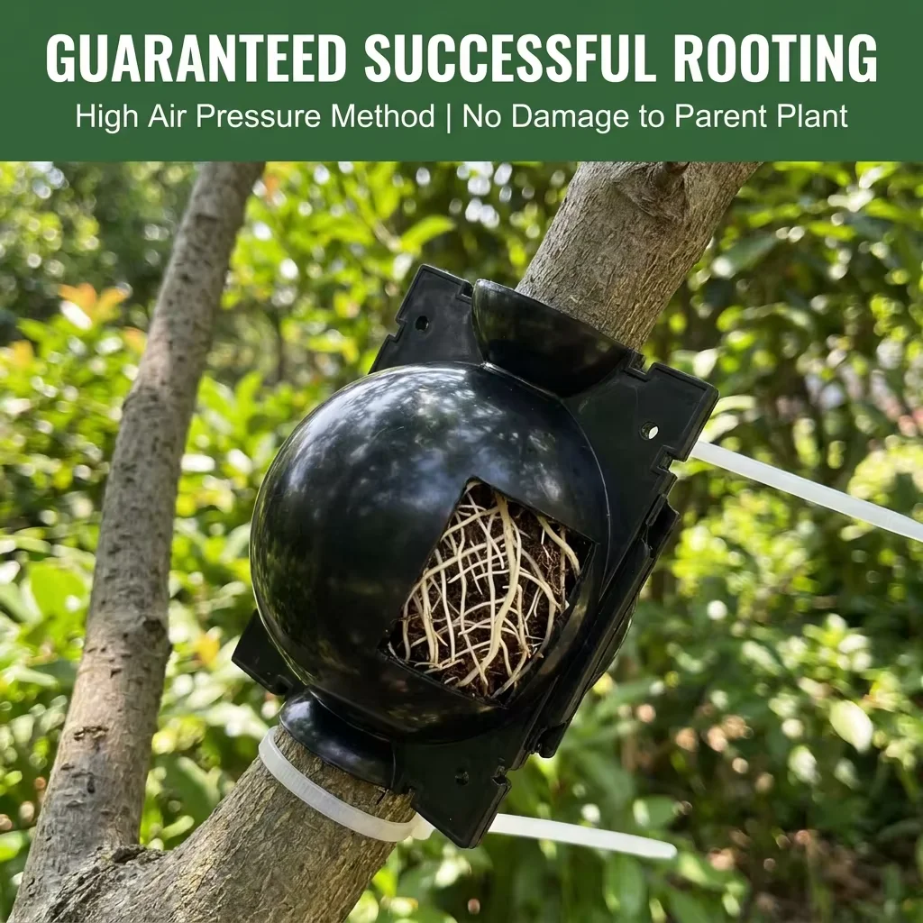 PP Material High Pressure Rooting Device Plant Grafting Propagator Medium Size 80mm Diameter Air Layering Pot Gardening