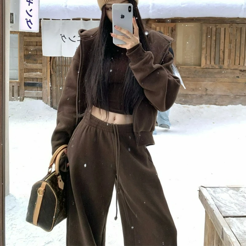 

Новая мода спортивные утолщенные спортивные штаны с заниженной спинкой куртка с капюшоном комплект осень/зима американская толстовка с капюшоном повседневный комплект из двух предметов для женщин