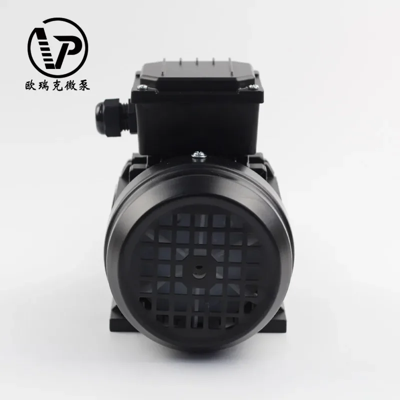 Low pressure medical equipment mini pump gear High Quality new design Low Noise stainless electric magnetic drive oil pump gear