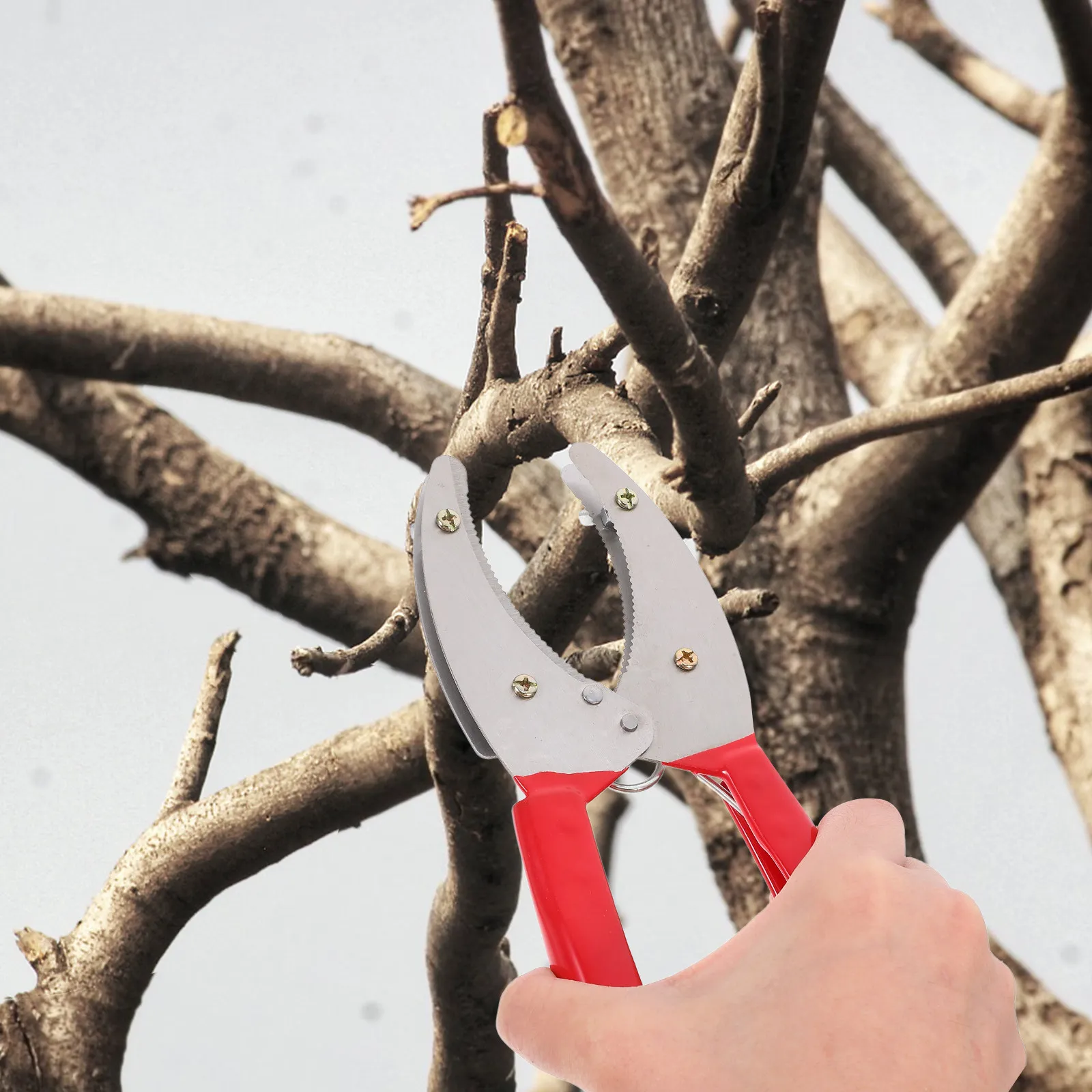 1Pcs Fruit Tree Girdling Cutter Adjustable Ring Stripping Tool for Orchard Farming Girdling Cutting Bark Peeling Fruit Planting