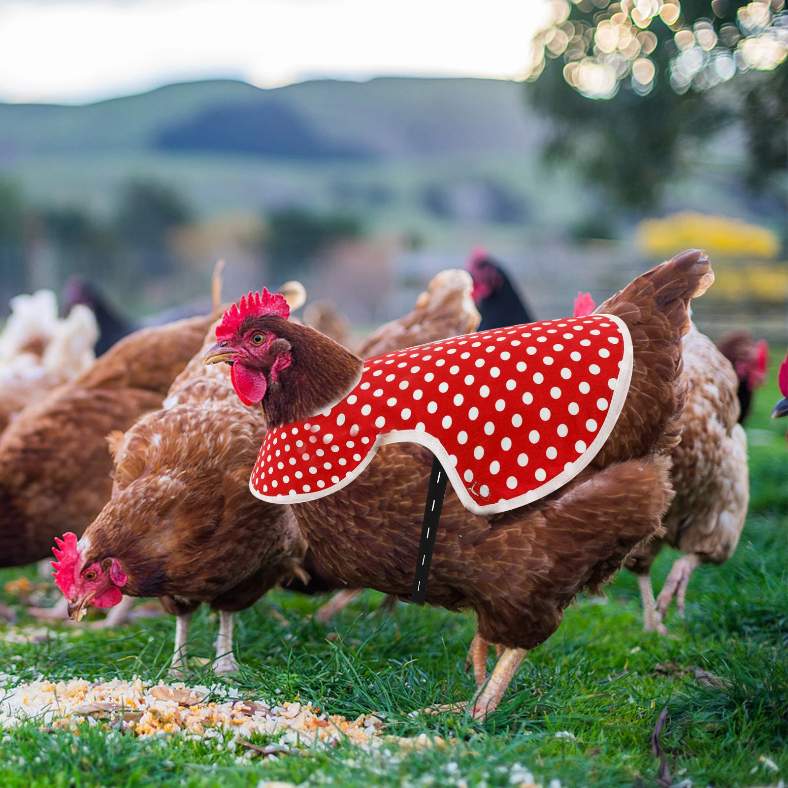 

Chicken Saddle Apron Hen Protector Wings Back Clothes Mating Poultry Saddle Elastic Adjustable Fit Various Sizes