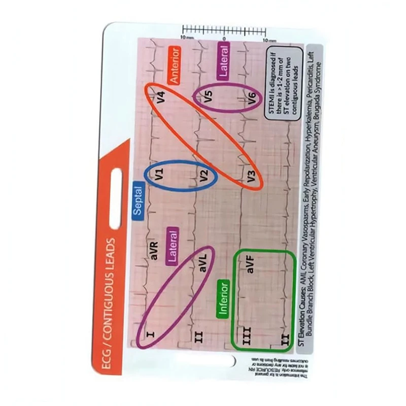 ABKP-STEMI 12 أداة الرصاص شارة مرجعية أفقية بطاقة الهوية ، EGG موصلات متصلة أداة قياس دقيقة منزلية #4