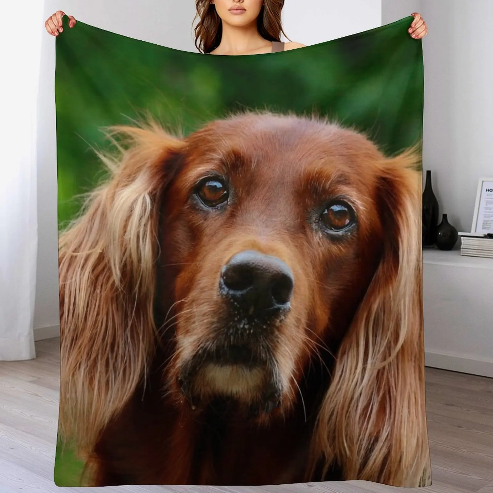 

Irish Setter - do you mean me Throw Blanket Shaggy Decorative Sofa Bed Fashionable Blankets