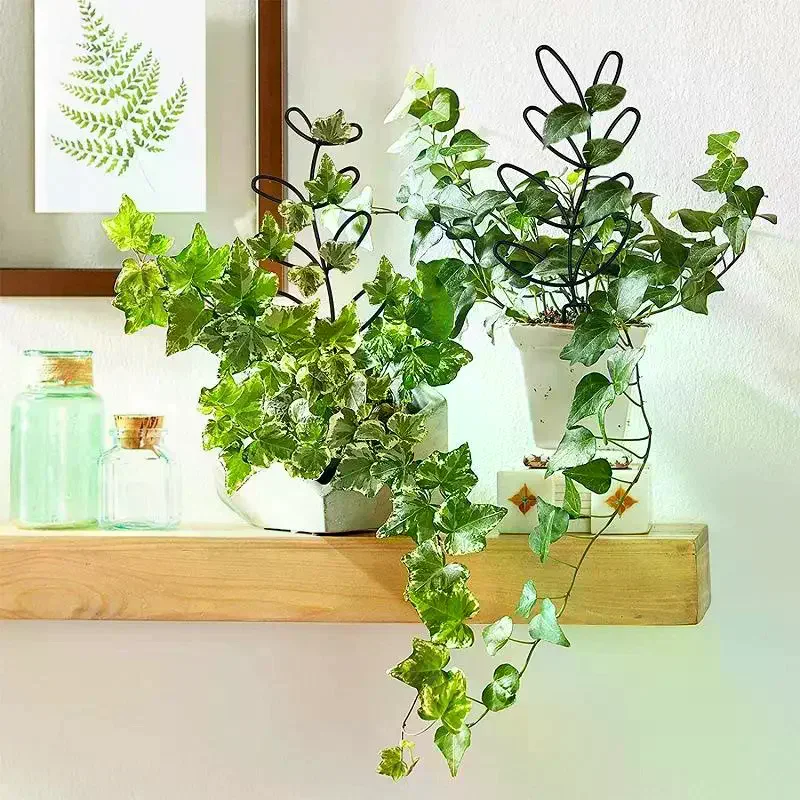 Plant Climbing Frame for Indoor and Outdoor Containers Adjustable Plant Support Trellis for Garden Balcony Potted Vine Plants