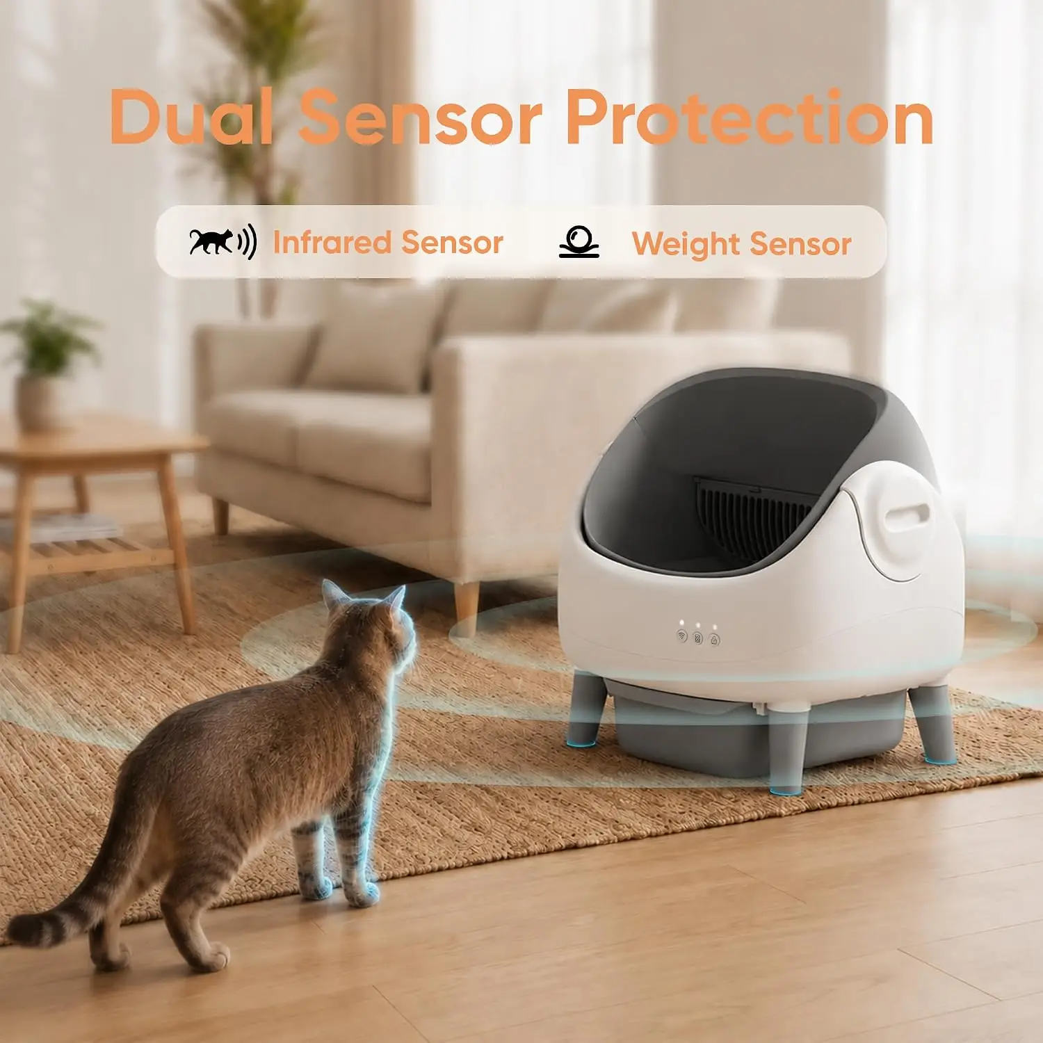 产品图片 4