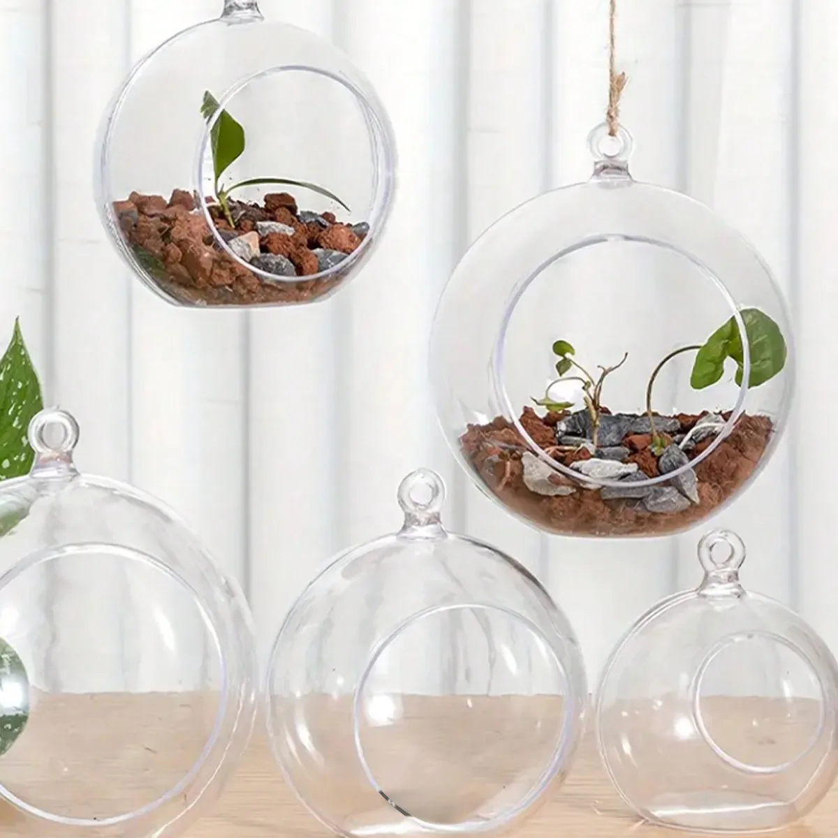 1pc,Stylish Plastic Terrariums Planter For Hydroponics Plants - Oblate Flower Vase For Wall Hanging Decoration - Perfect Home