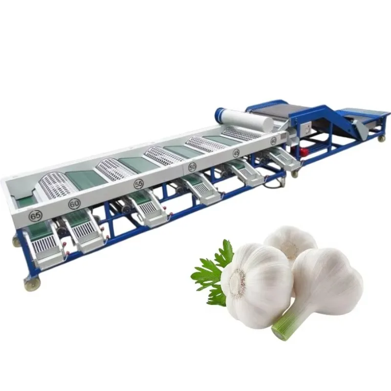 Sorting Machine Garlic Nuts Grains Beans Vegetable Peeled Garlic Sorting Machine Garlic Sorter Machine Customized
