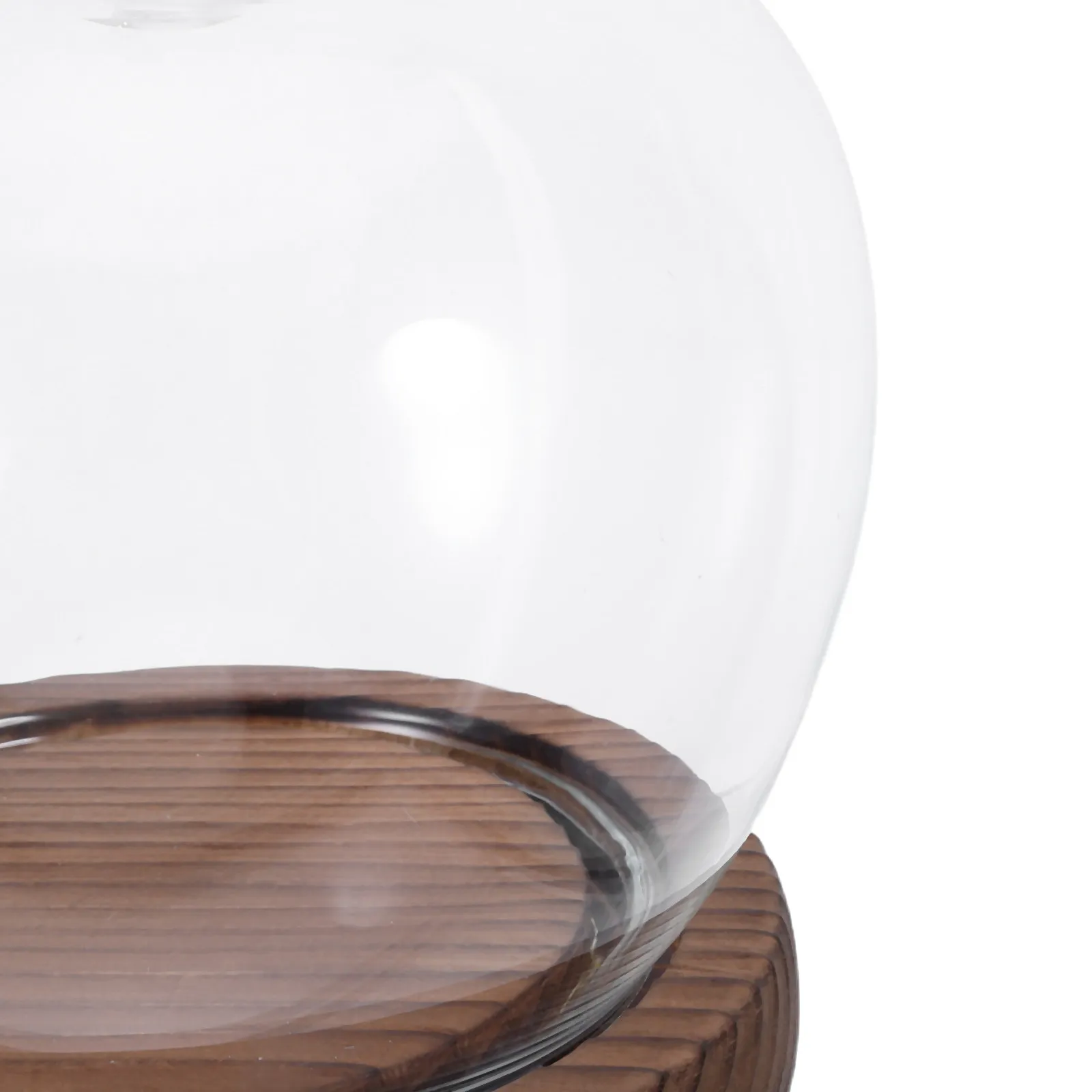Glass Dome Cloche Clear Display Cover Decorative Glass Dome with Wood Base Dustproof Display Case for Crafts Plants Home