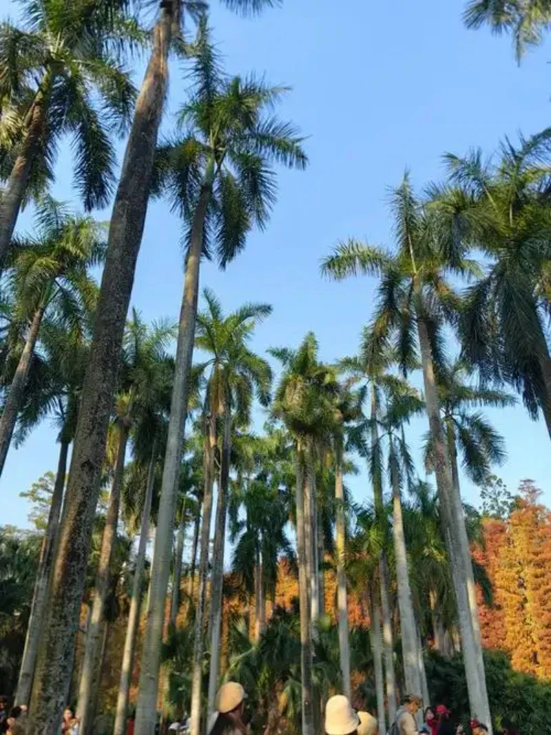 

For Renault Megane RS 2004-2025 X84 Paint Touch Up Pen Kit - Scratch Repair Car Scratch Remover with Brush DIY Auto Accessories