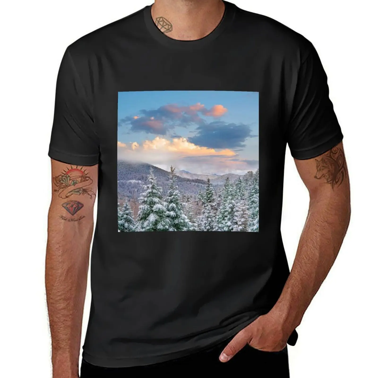 Winter Coniferous Forest Aspen Vista Santa Fe National Forest New Mexico T-shirt plus size tops Men's clothing