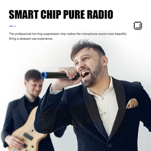 Wireless dynamic microphone with rechargeable receiver, hand microphone, karaoke mic, wedding party, church club 10 Main Sales Microphone Dinamic - №7