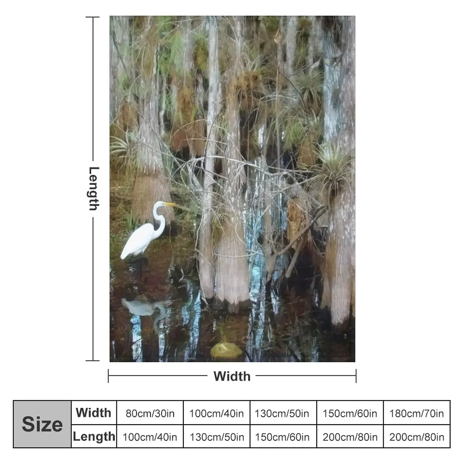 New A Big Day at Big Cypress National Preserve, Florida Throw Blanket Sofa Large for winter Picnic Blankets