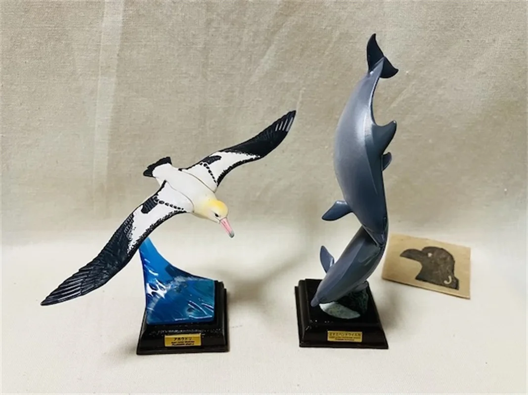 In Stock Kitan Ikimon Ntc The Ogasawara Marine Animals Special