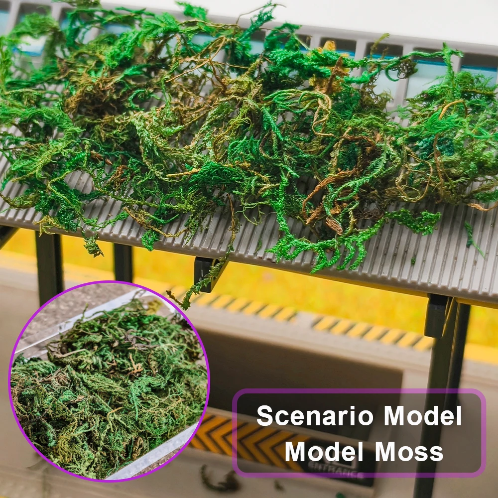 مصغرة الاصطناعي وهمية موس نموذج النباتات الخضراء الحياة الأبدية موس العشب DIY بها بنفسك الحرف حديقة المنزل المشهد العسكري ديكور 1 قطعة #2