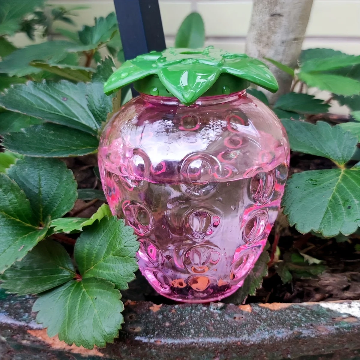 Fotografia 6: 2 pçs ferramenta de rega automática sistema de rega de irrigação por gotejamento interior vasos flor planta waters para jardim casa