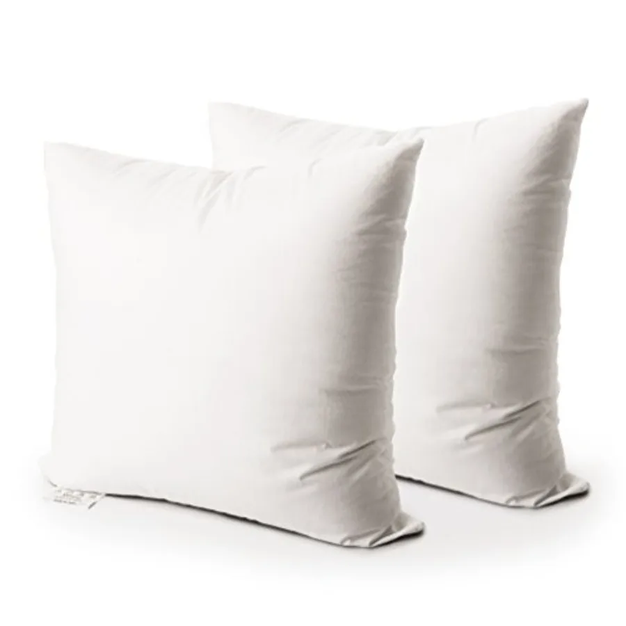 

Throw Pillow Insert, Set of 2 Down Alternative Polyester Square Form Decorative Pillow, Cushion, Sham Stuffer. White, 22x22