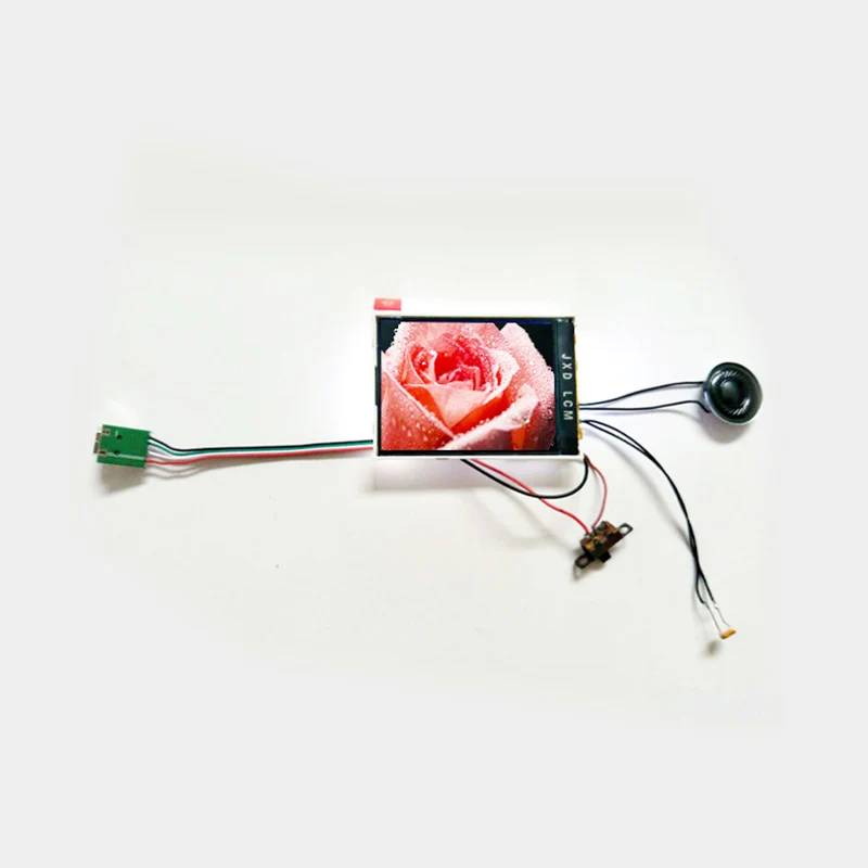 

2.4 Inch LCD Screen Video Module Light Control 128MB Memory For Business Promotional