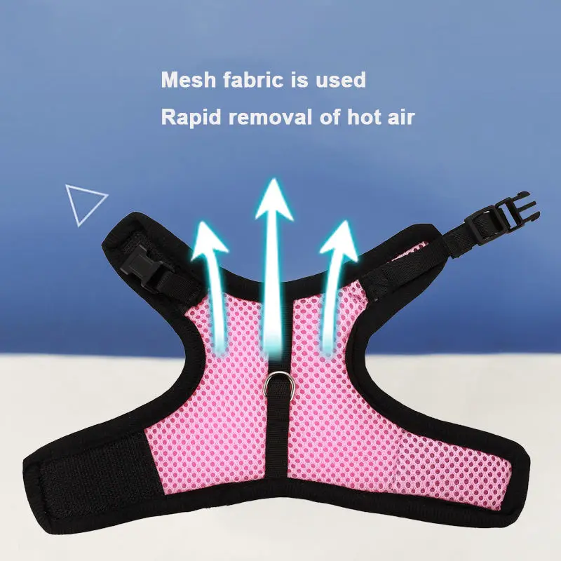 Harness and Leash Set for Rabbits 2