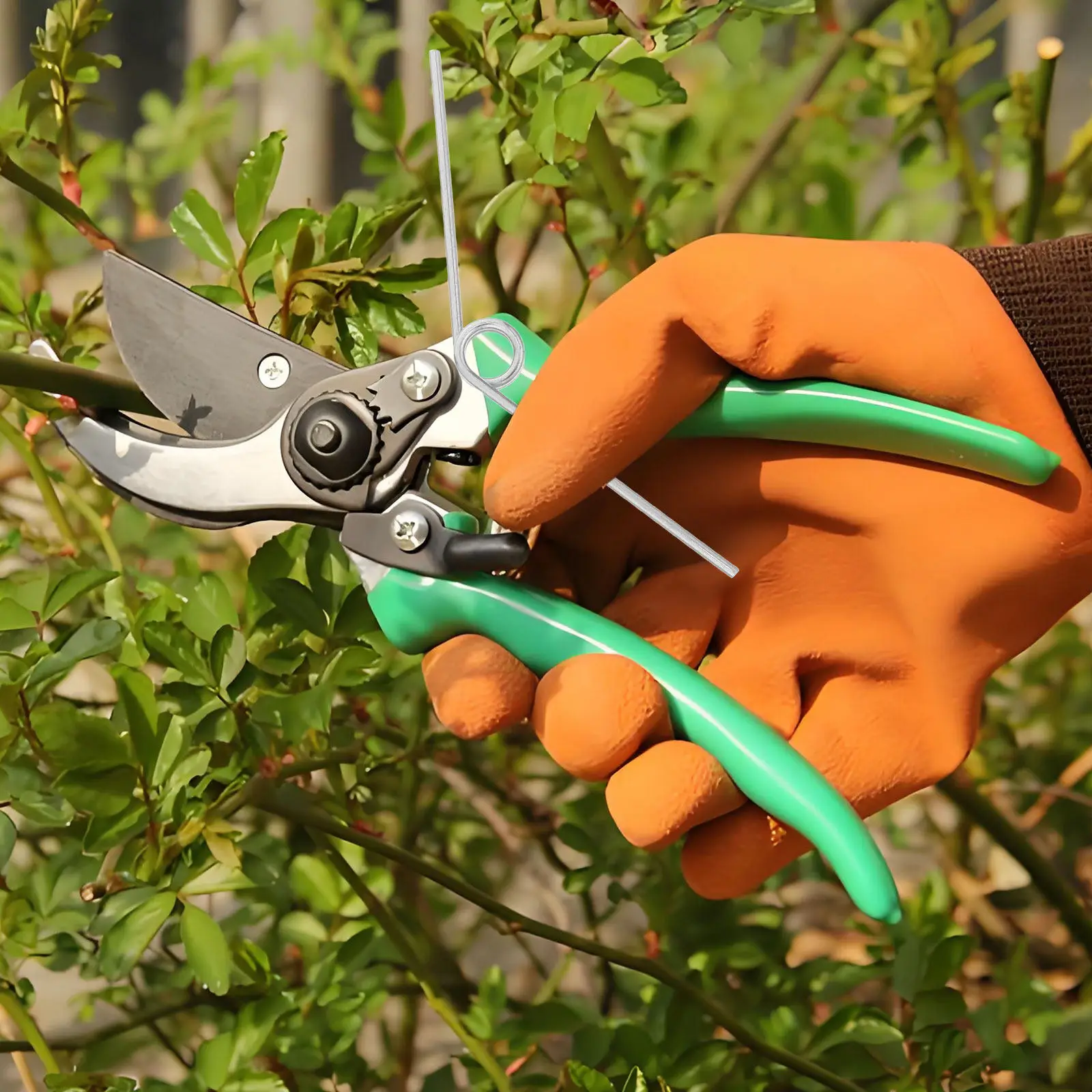 Heavy-Duty Garden Pruning Shears for Fruit Trees, Branch Trimming & Landscaping – Sharp Stainless Steel Blades