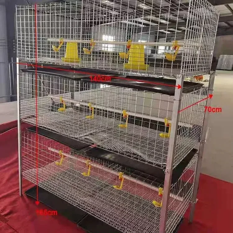 4 Tiers 2 Doors 100-300 Birds Capacity Baby Chicken Cage Automatic Drinking System In Philippines Farm