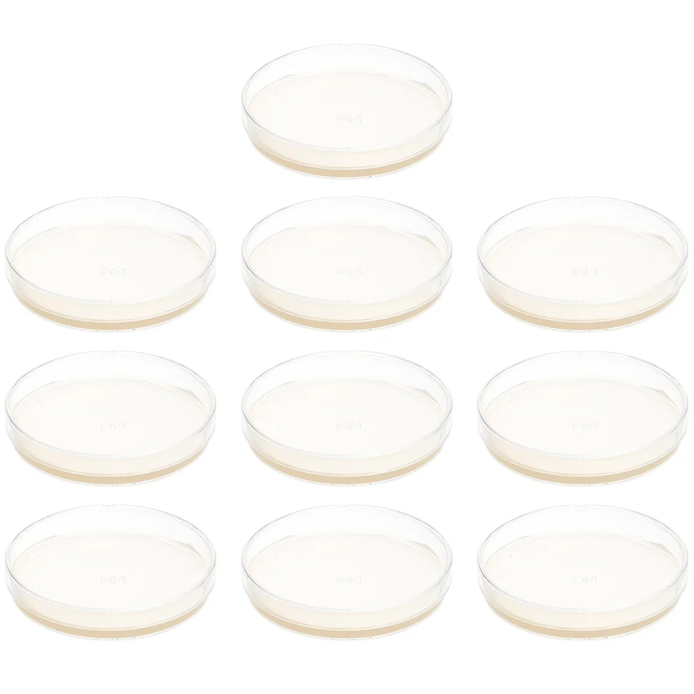 Placas de Agar prevertidas, suministros para experimentos de ciencia, 10 piezas