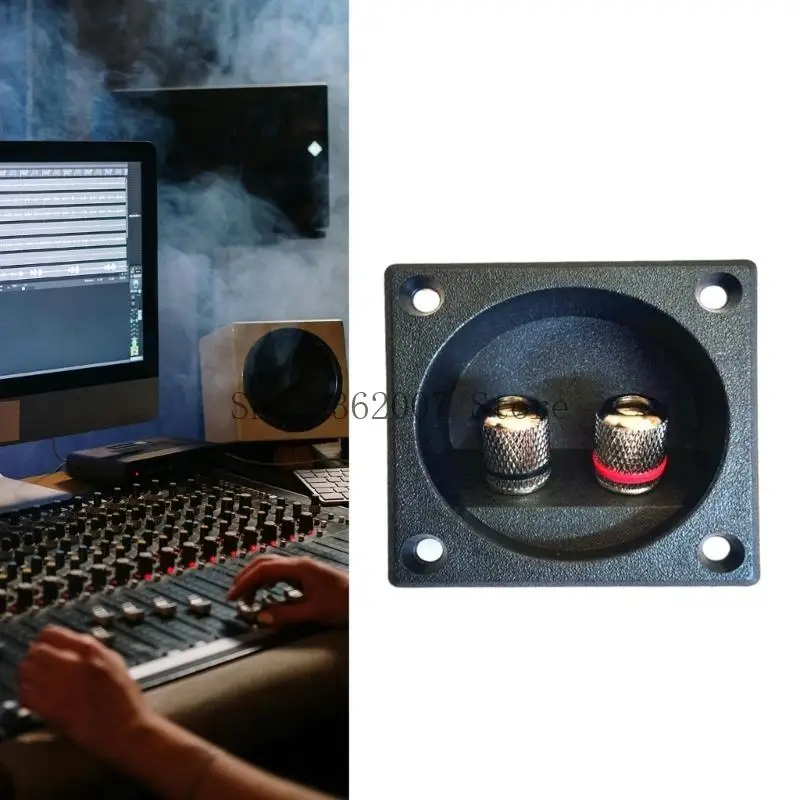 Silver Coppers банановые гнезда терминалы динамики докладчики доступа к доступу 40jb