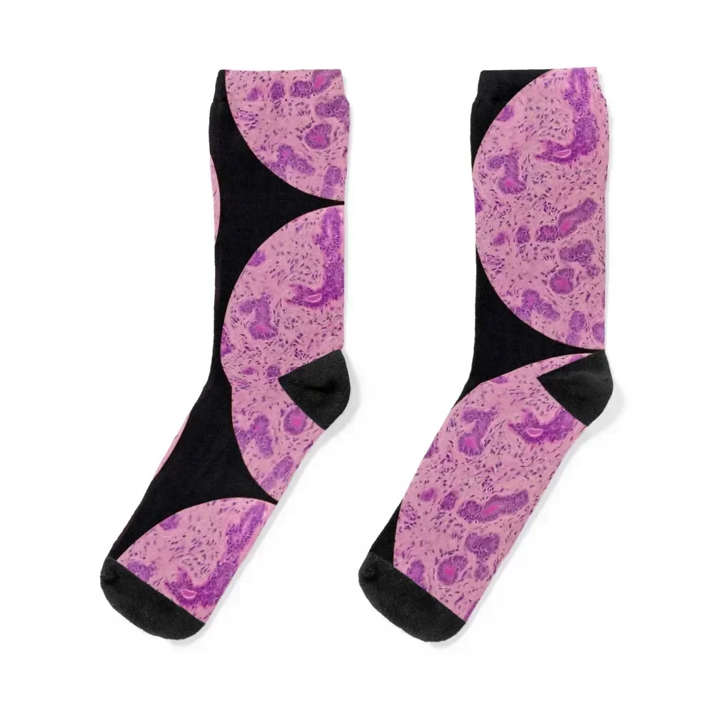 Histology of secreting glands, human tissue, H&E, 100x Socks cute cool designer essential Male Socks Women's