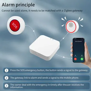 Tuya Smart ZigBee SOS Children's Call -Taste, drahtloser Pager, Notalarm, ältere Patienten, Fernbedienungs -App -App 10 Hauptverkaufskalltaste - №6