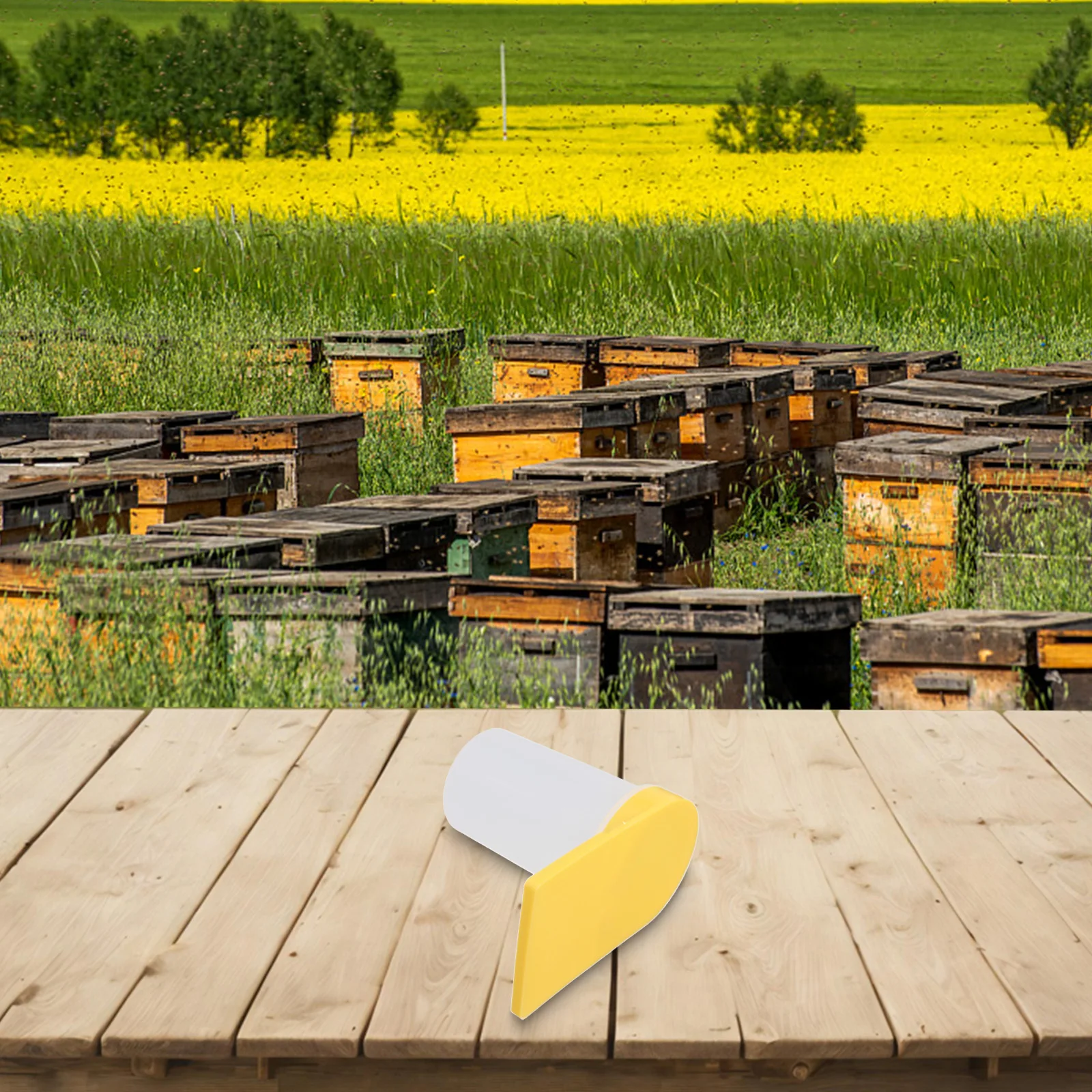 Boîte à eau d'alimentation pour abeilles, mangeoire efficace pour passionnés d'entrée, ruche, miel, abreuvoir en plastique léger et durable