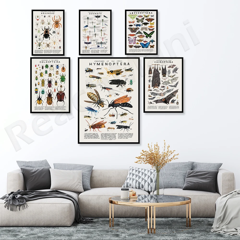 

Arachnid: Spider, Odonata: Dragonfly, Damselfly, Lepidoptera: Butterfly, Moth, Hymenoptera: Bee, Chiroptera: Bat Animal Poster