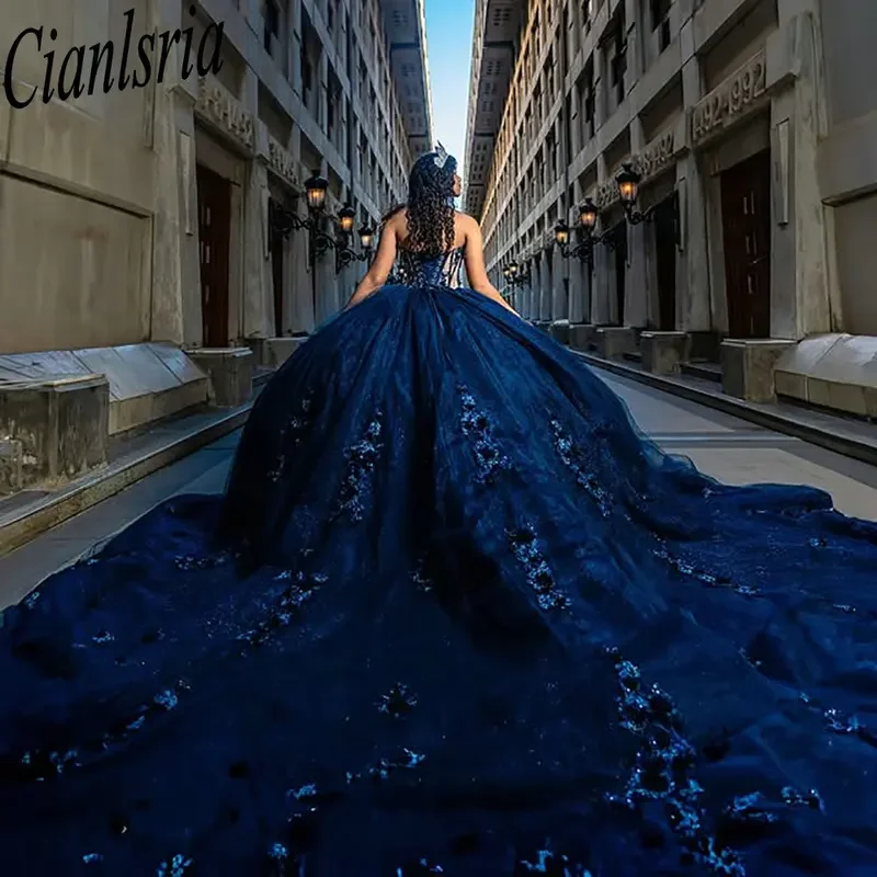 فساتين Quinceanera بدون أكمام باللون الأزرق الملكي ثوب حفلة زهور ثلاثية الأبعاد مزين بالدانتيل الحلو 15 Años المكسيكي حسب الطلب #4