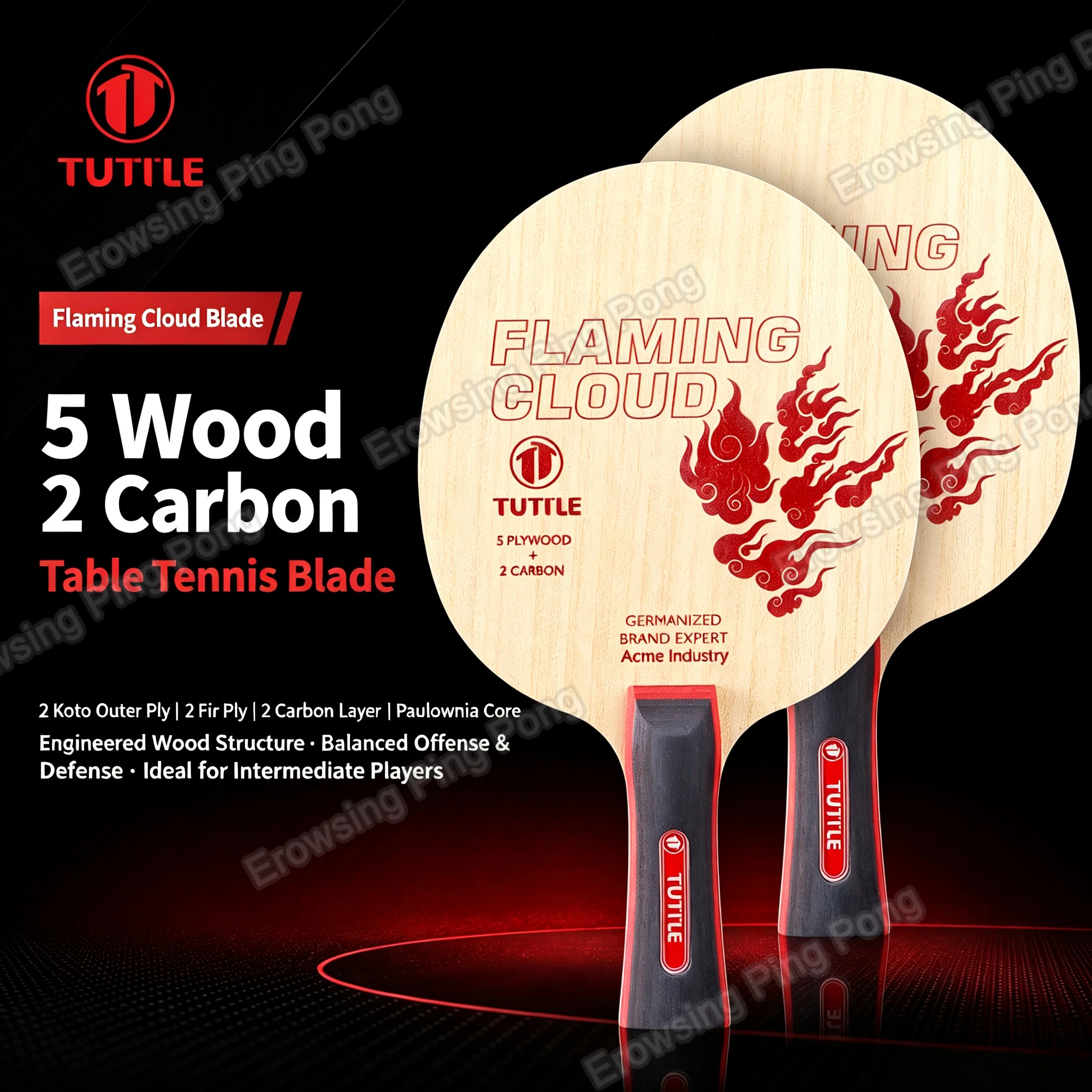 Badminton Background - TUTTLE 5-warstwowa główka do tenisa stołowego