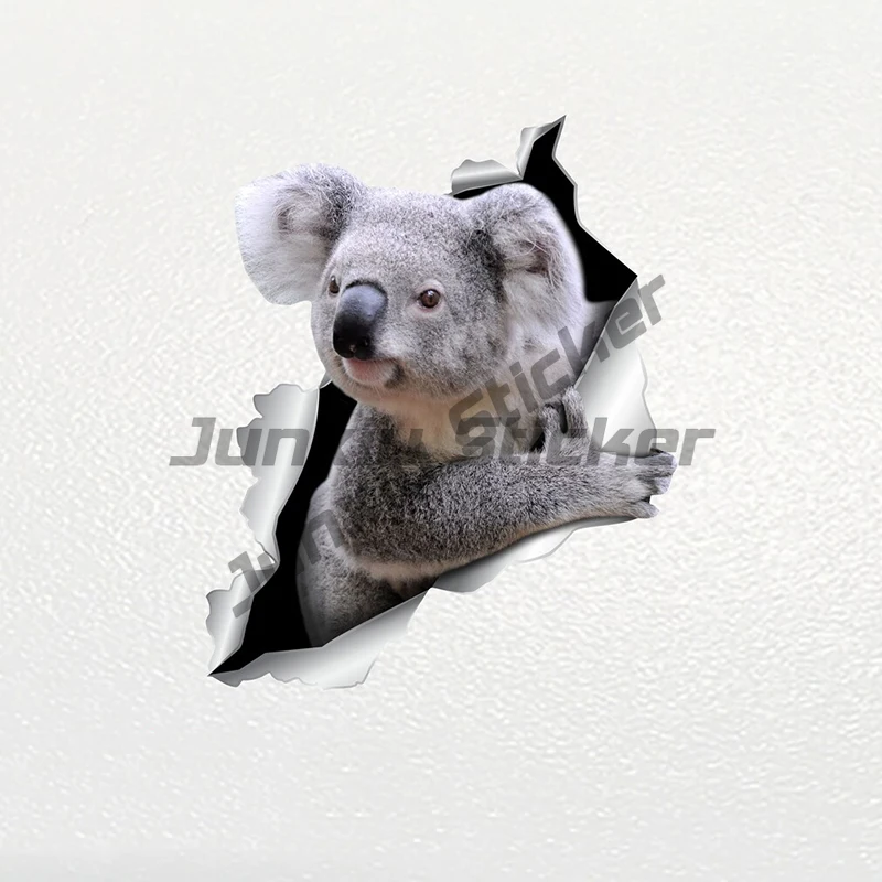 

Car Sticker Koala Pet Animal Waterproof Vinyl Decal Car Accessories Decor Pegatinas Para Coche