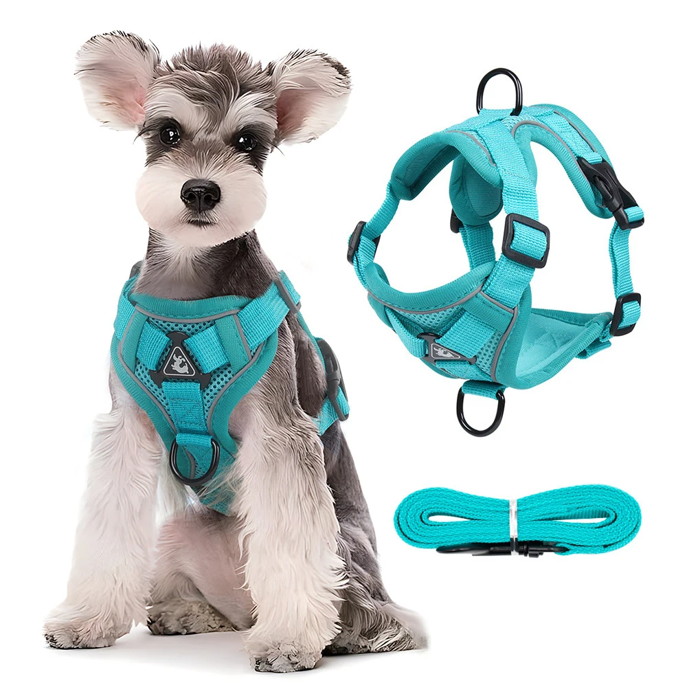 

Pet Harness Vest Set Reflective Breathable Adjustable Pet Harness for Small Medium Dogs Outdoor Walking Lead Leash for Puppy Dog