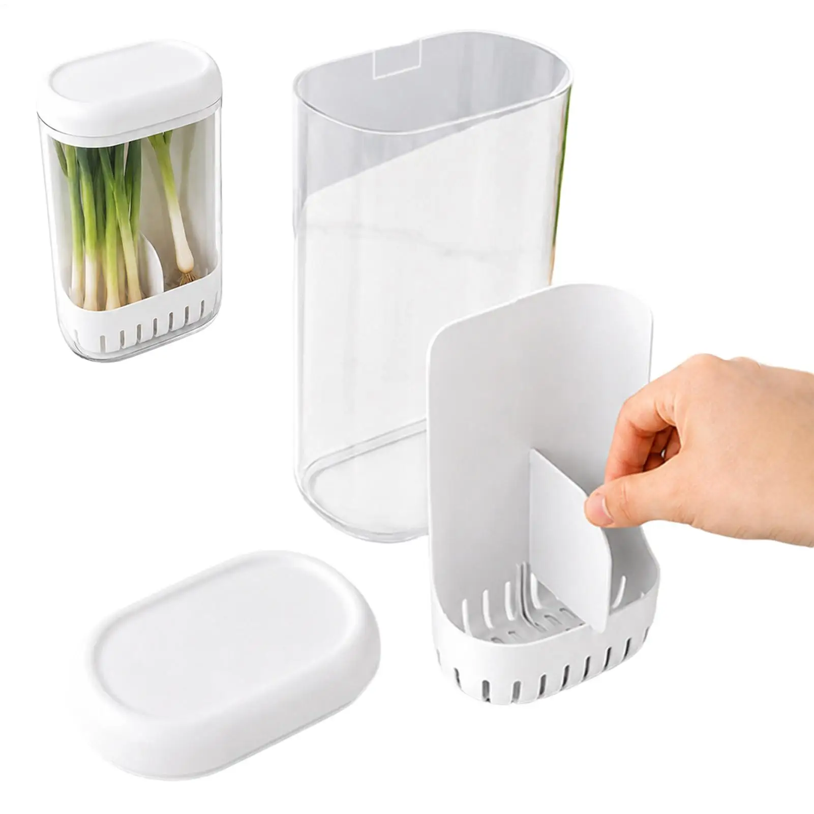Cilantro Preservation Box with Drainage Basket and Divider Refrigerator Herb Preservation Box for Home Countertop Cherry