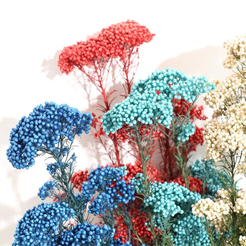 50g Eternal Dry Rice Flower Millet Flowers Heads DIY Home Wedding Arrangement Party Decor Natural Centerpieces Decoration