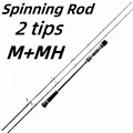Spin 2 tips M and MH